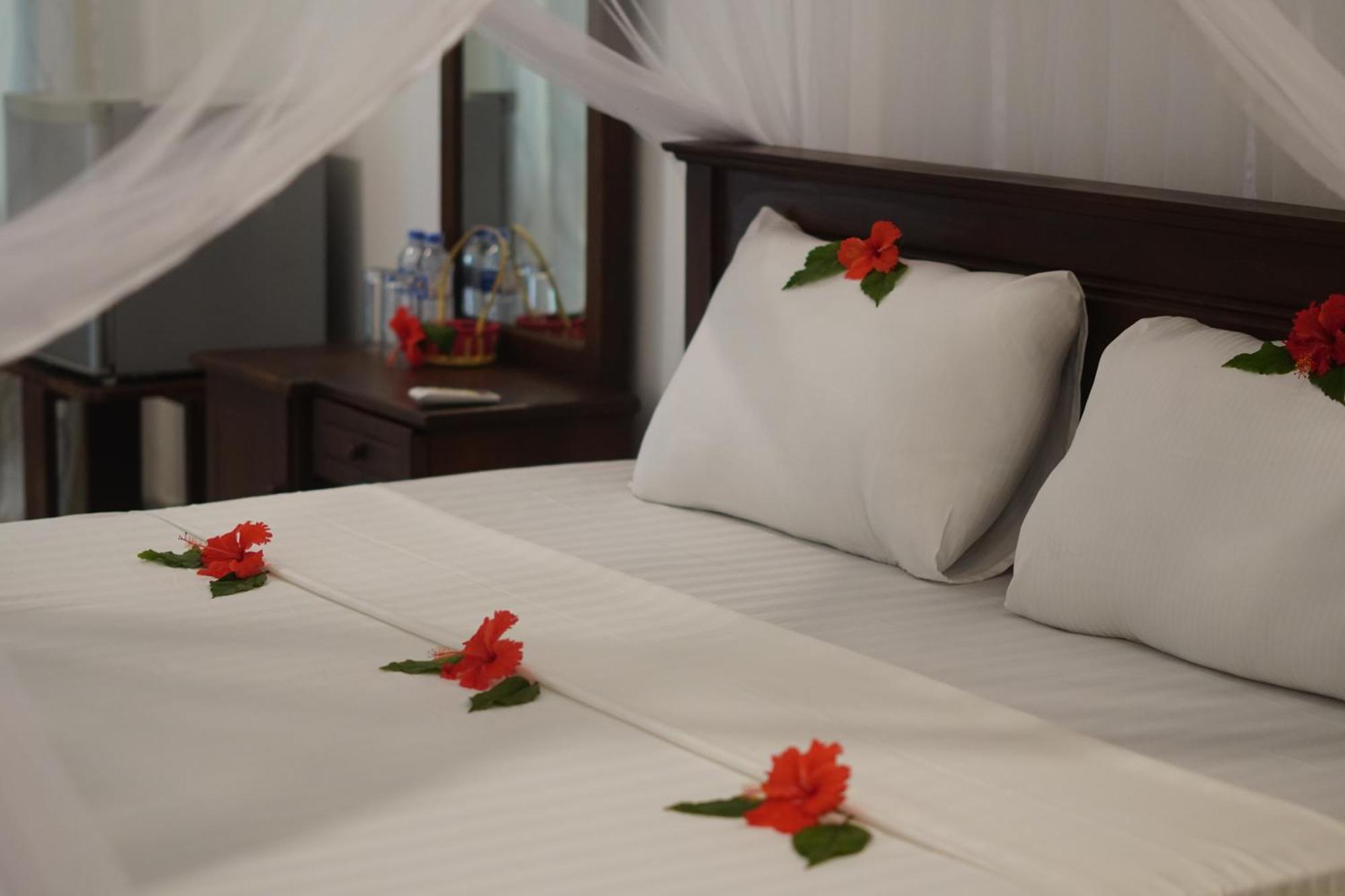 Turtle Bay Beach Resort Mirissa Bagian luar foto
