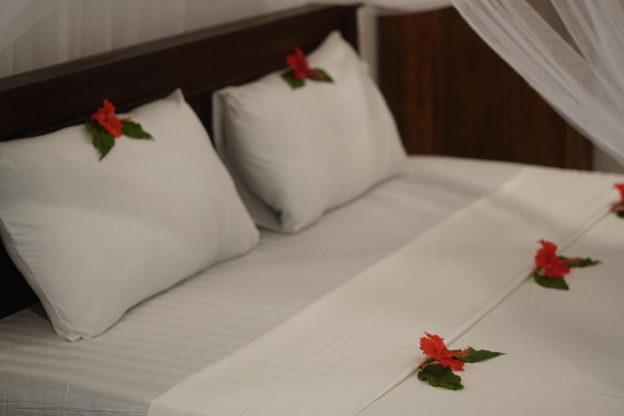 Turtle Bay Beach Resort Mirissa Bagian luar foto