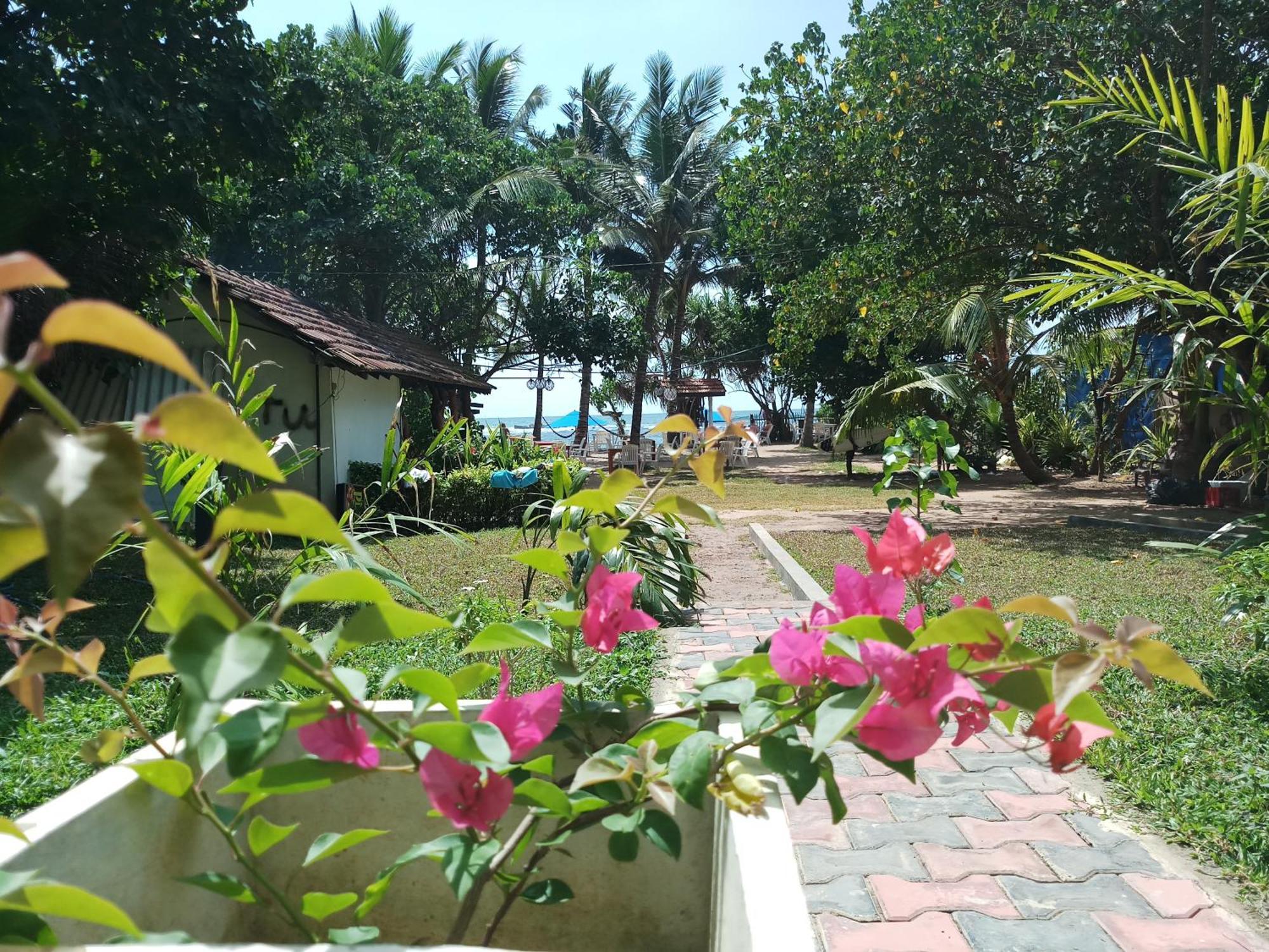 Turtle Bay Beach Resort Mirissa Bagian luar foto